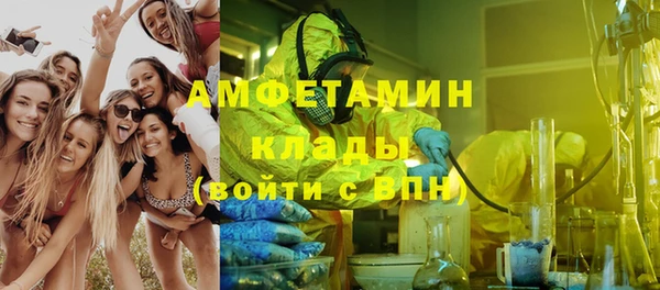 шишки Балабаново