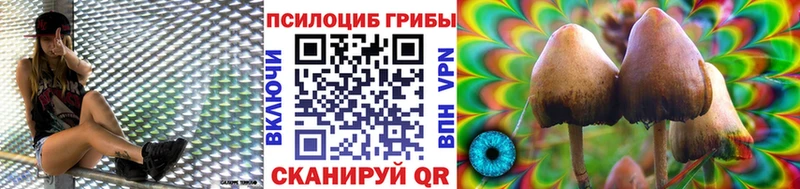площадка наркотические препараты  mega ссылка  Галлюциногенные грибы ЛСД  Городище  купить наркотики сайты 
